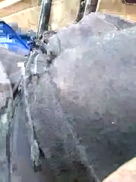 Ldnick69 live cam