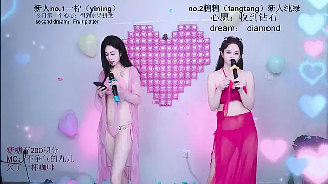 CCTW-100 webcam