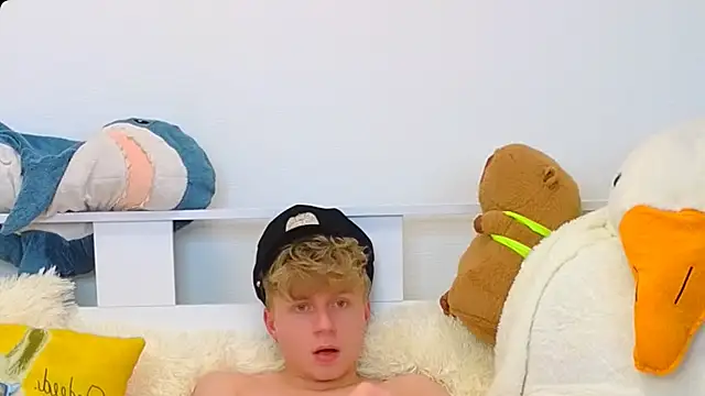 LandelRay webcam