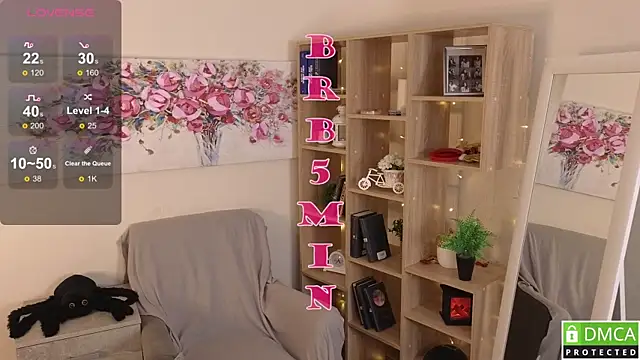 Sue_Sanders webcam