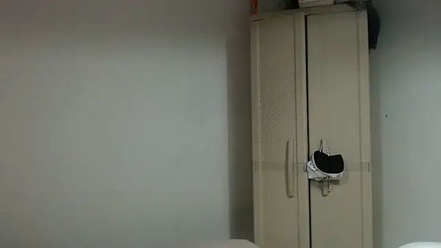 Agatha_browser webcam