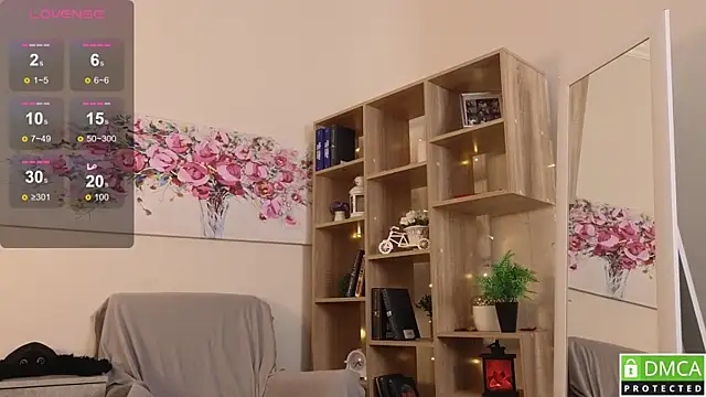 Sue_Sanders webcam