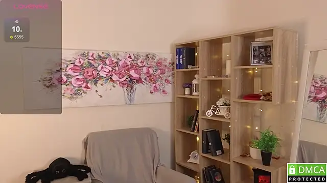 Sue_Sanders webcam