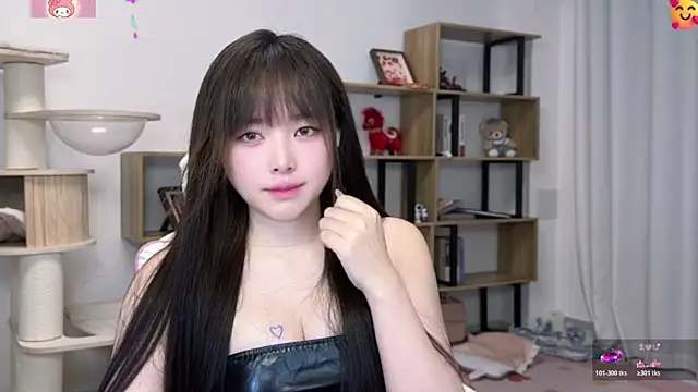 SakuraCat6 webcam