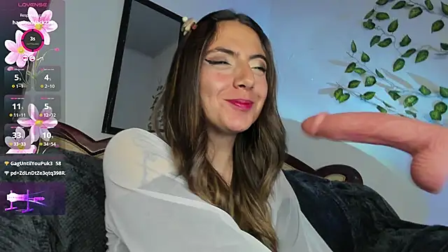 luumanson webcam