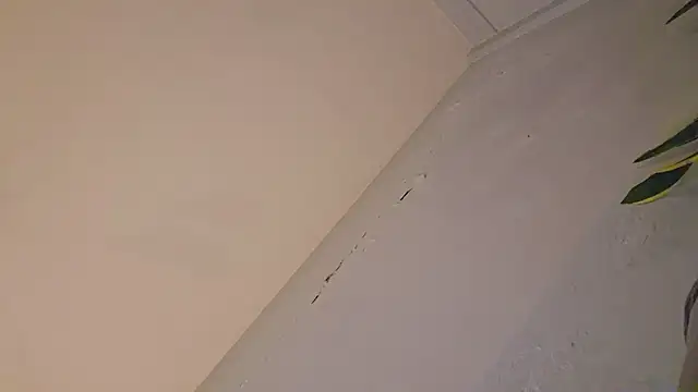 phranof_ webcam