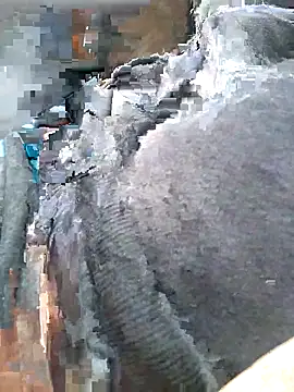 Ldnick69 webcam