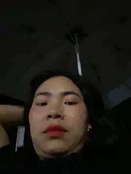 Nul_chal webcam