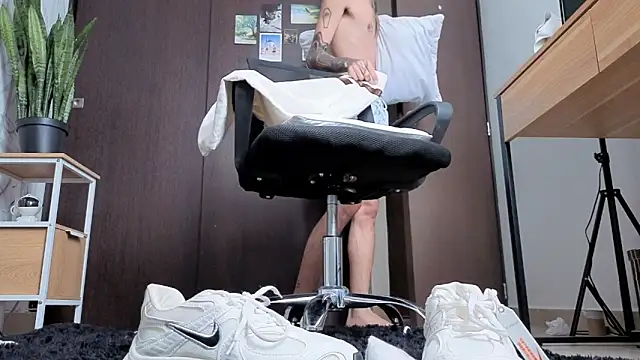 Arteemiiis webcam