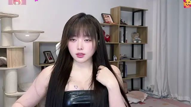 SakuraCat6 webcam