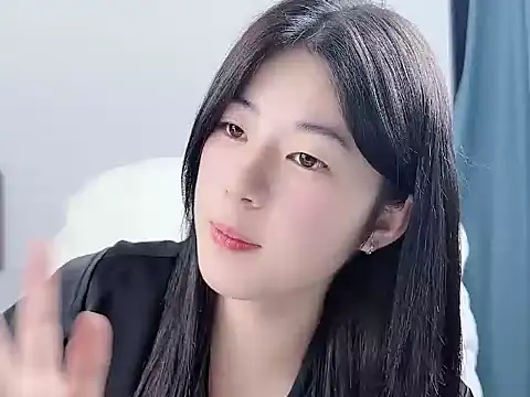 Nicoa2026 webcam