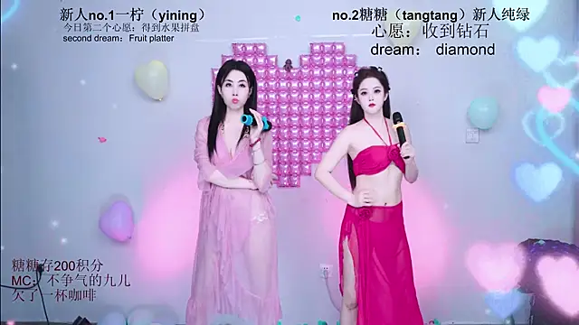 CCTW-100 webcam
