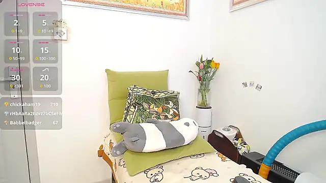 santanawa webcam