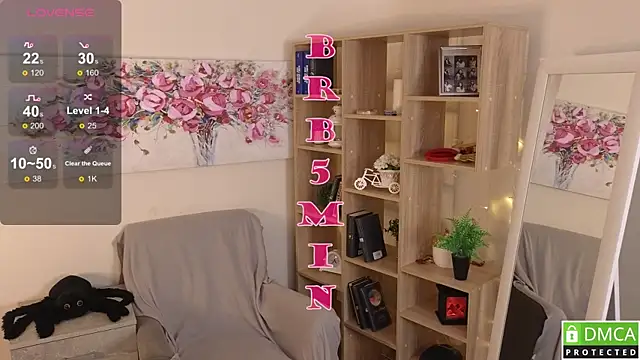 Sue_Sanders webcam