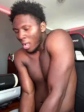 Festivitiesking1 webcam