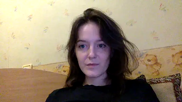 P911 webcam