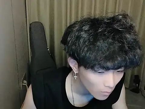 wssoo11 webcam