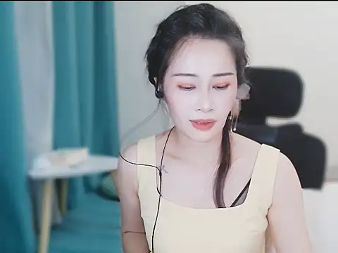 ccai-1758 webcam