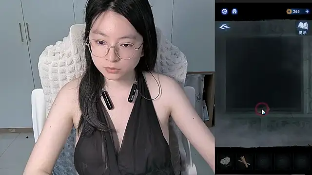 Erya-369 webcam