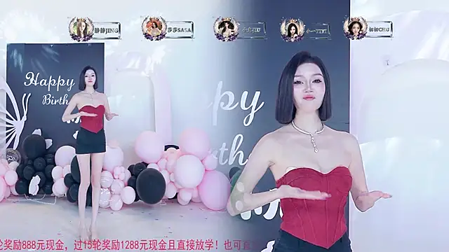 TY-002 webcam