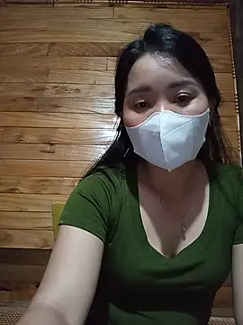 Td3di webcam