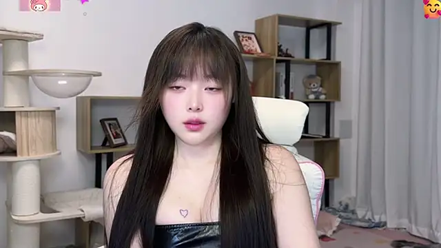 SakuraCat6 webcam