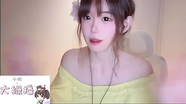 Ruuunn webcam