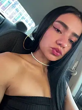 Dakota-fire webcam