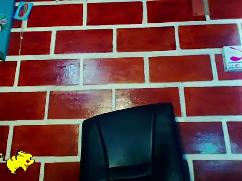 Steeve_Hard webcam