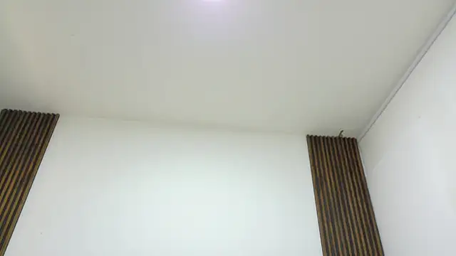 Dogerman_01 webcam