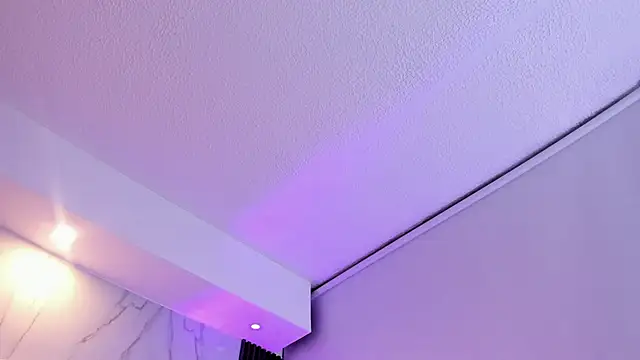 DreamHoney_SJ webcam