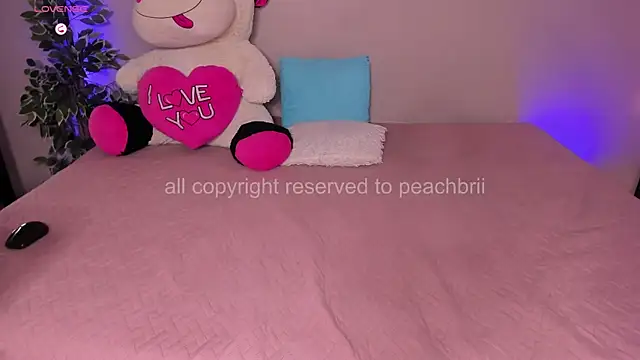 PechBri webcam