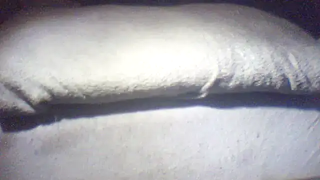 pietje1991 webcam