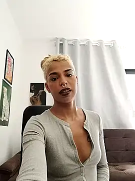 Helenoir webcam