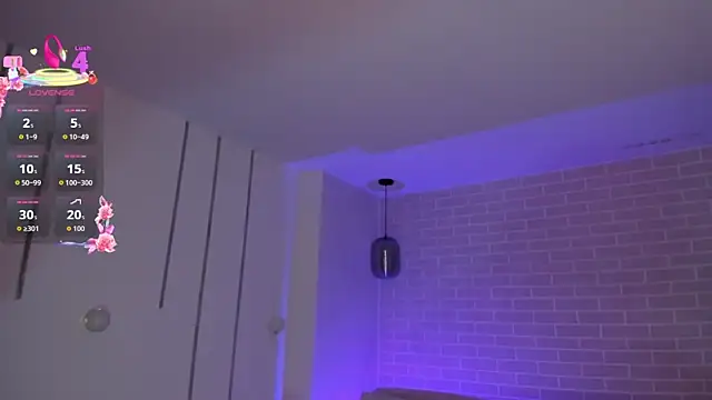ChristineFord_ webcam