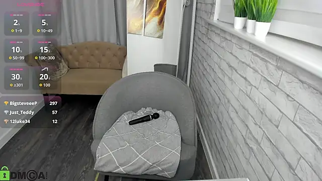 Dixon_Ross webcam