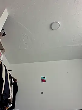 IrisBound webcam