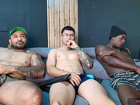 angelstream webcam