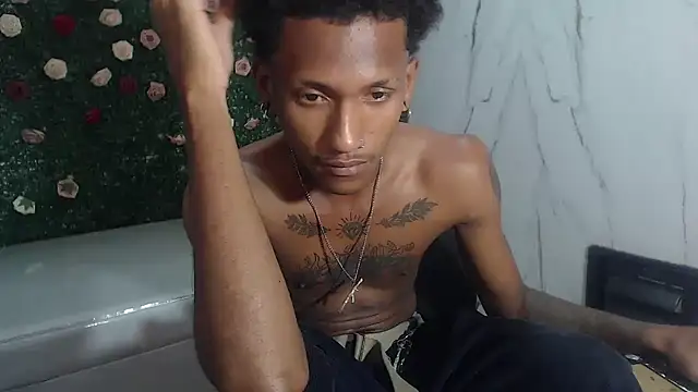 ManSant webcam