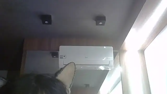 SkinnyKitten webcam