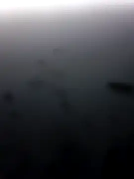 M8ygcthf webcam