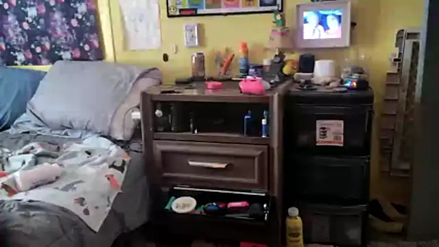 LordSpunFun webcam