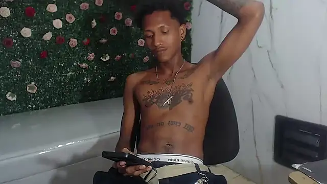 ManSant webcam