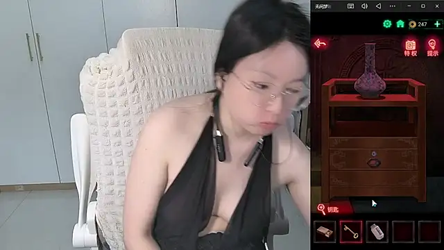 Erya-369 webcam