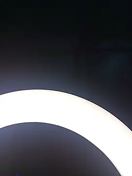SlBrownCopule webcam