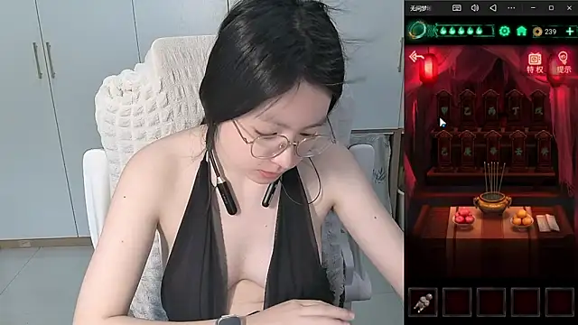 Erya-369 webcam