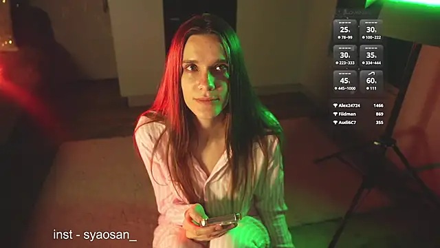 Arlitik webcam