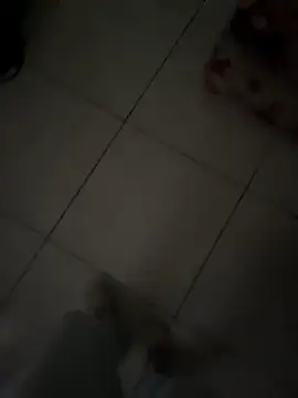 Jeff_pepper webcam