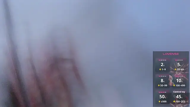 RJBarto webcam