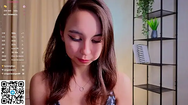 NerixalVire webcam